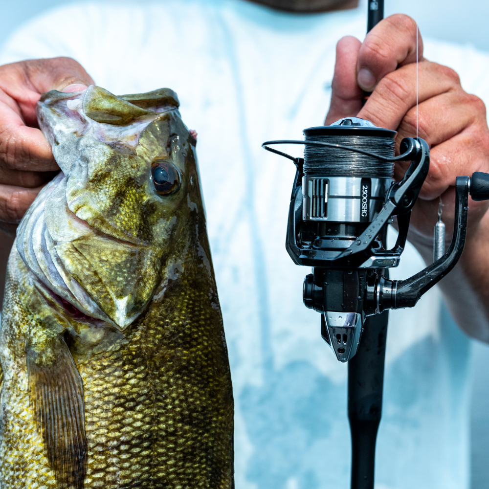 SHIMANO Vanquish Spinning Front Drag Reel