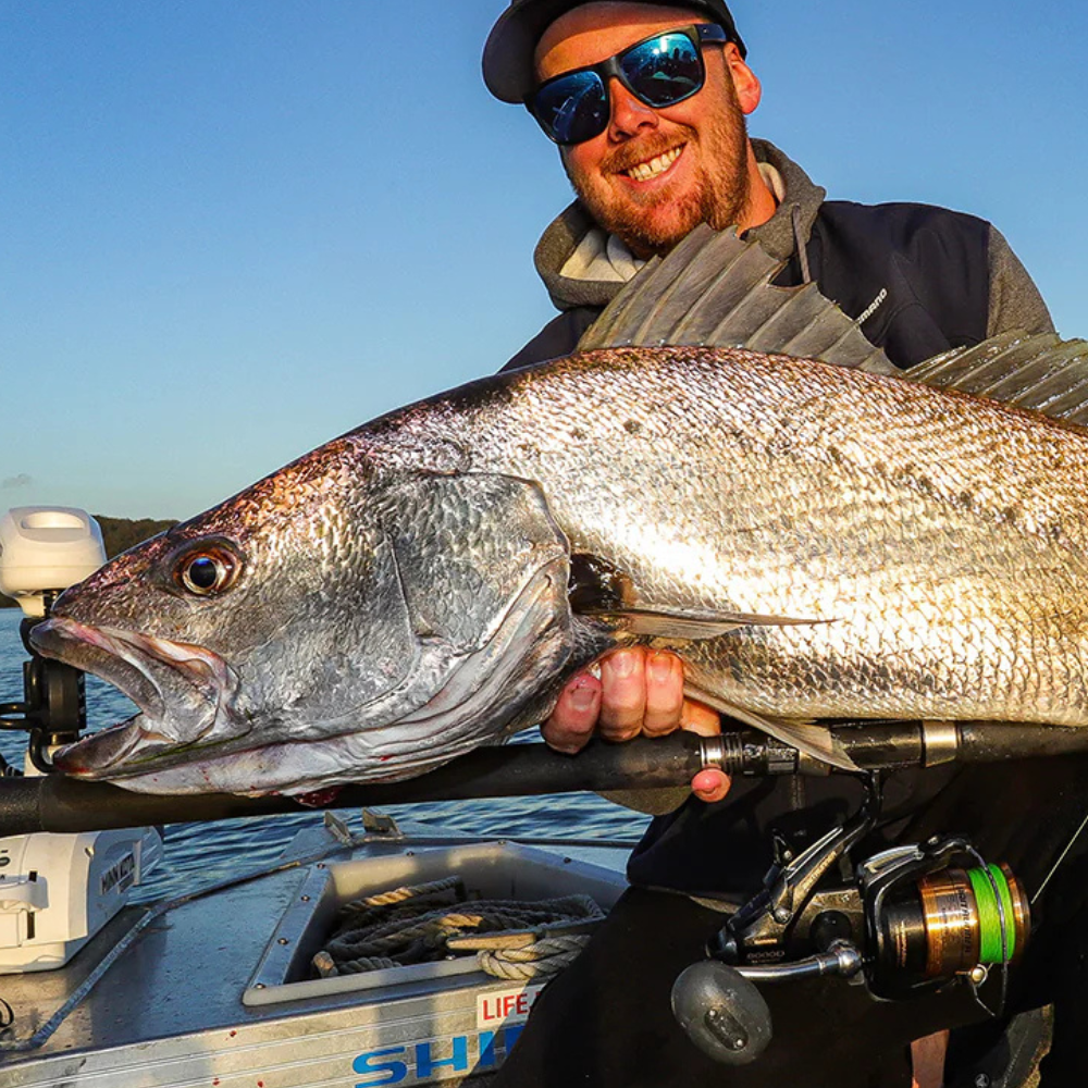 SHIMANO Baitrunner D Spinning Reel