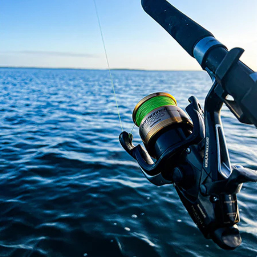 SHIMANO Baitrunner D Spinning Reel