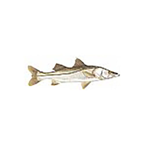 Bonefish