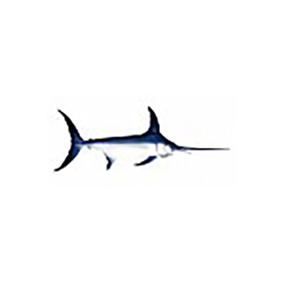 Swordfish