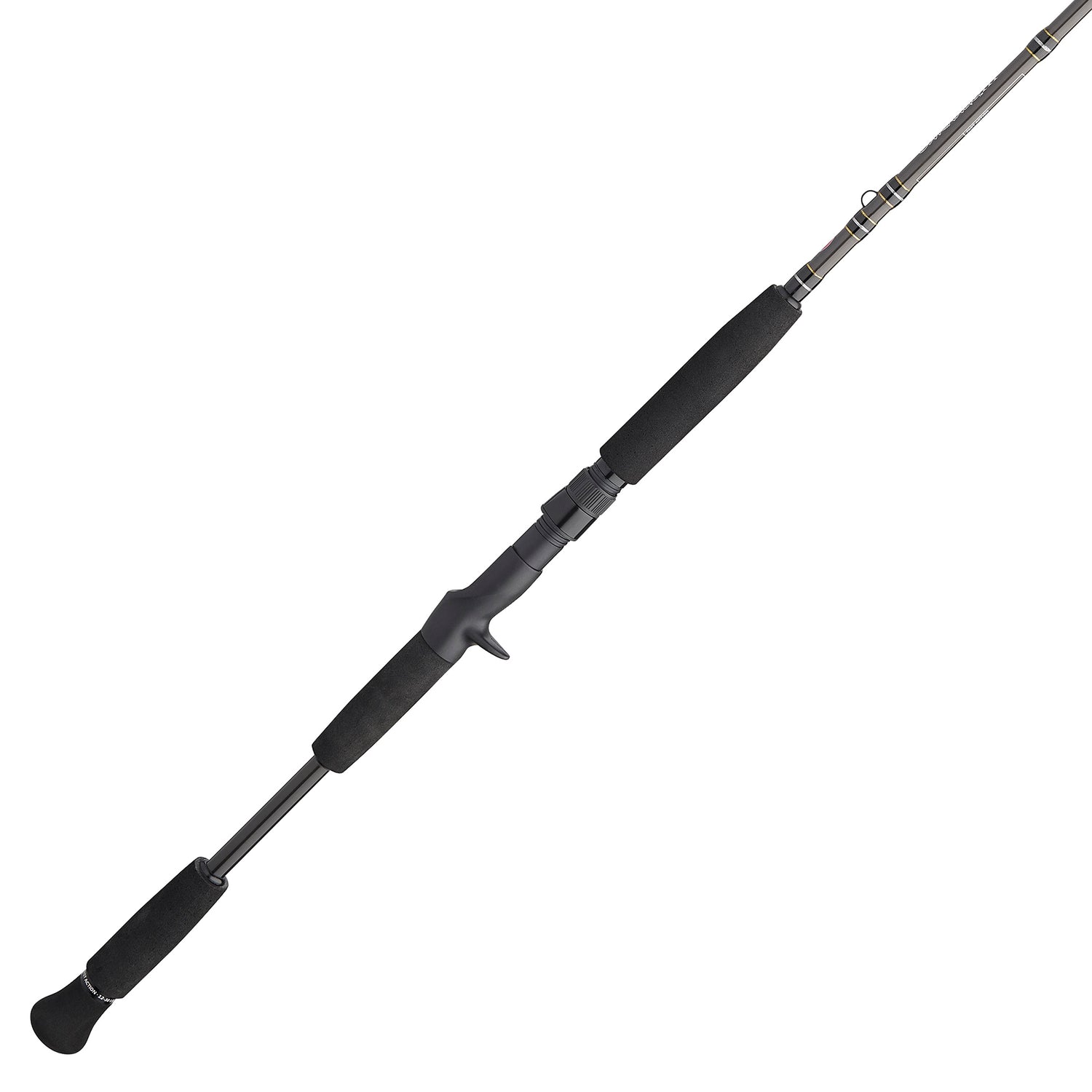 PENN Carnage III Inshore Casting 7FT Medium Light