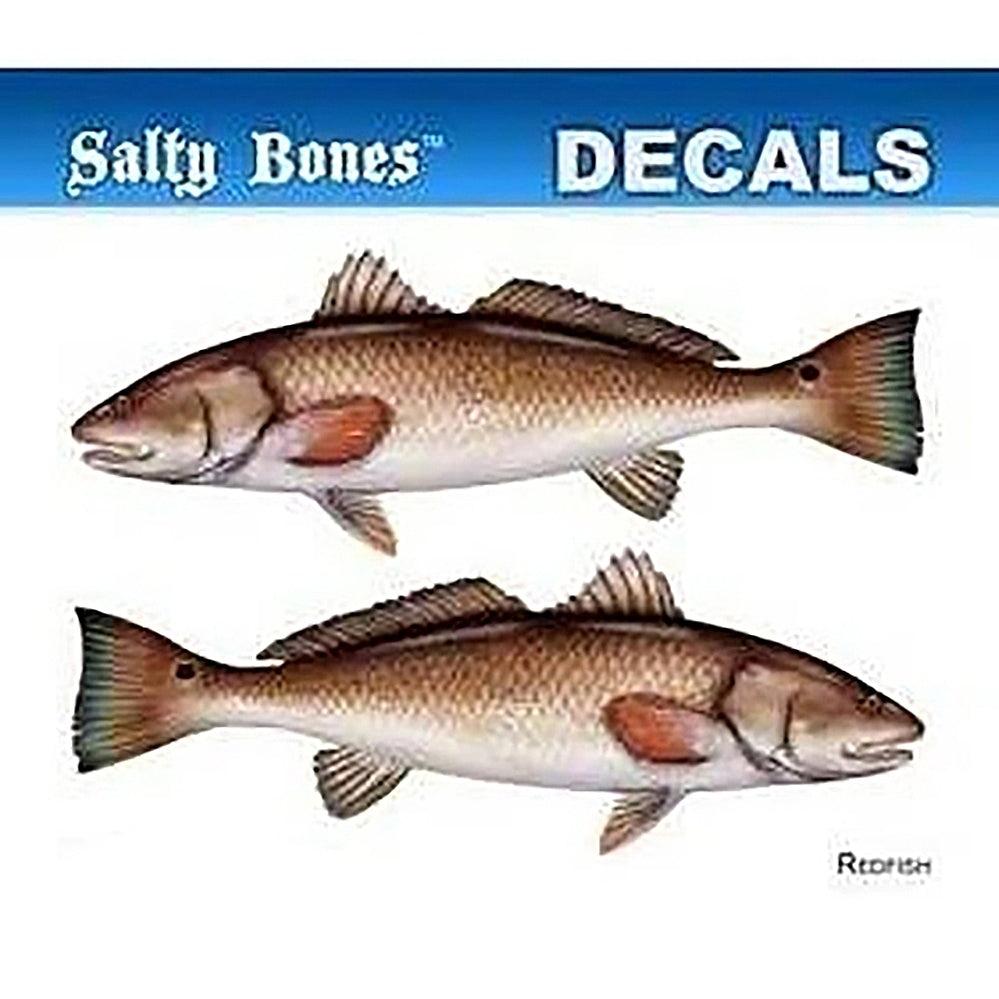Salty Bones Mini Redfish