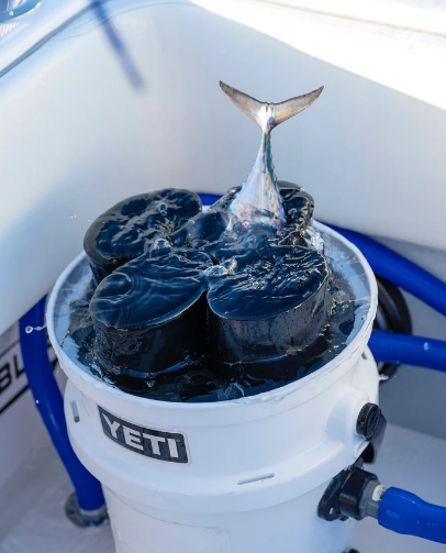 R&R 6 Tube Live Bait 12" Tall Bucket Tube