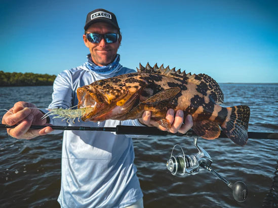 LIVE OPS Rigged Sumo Shrimp 5" - Natural Tiger