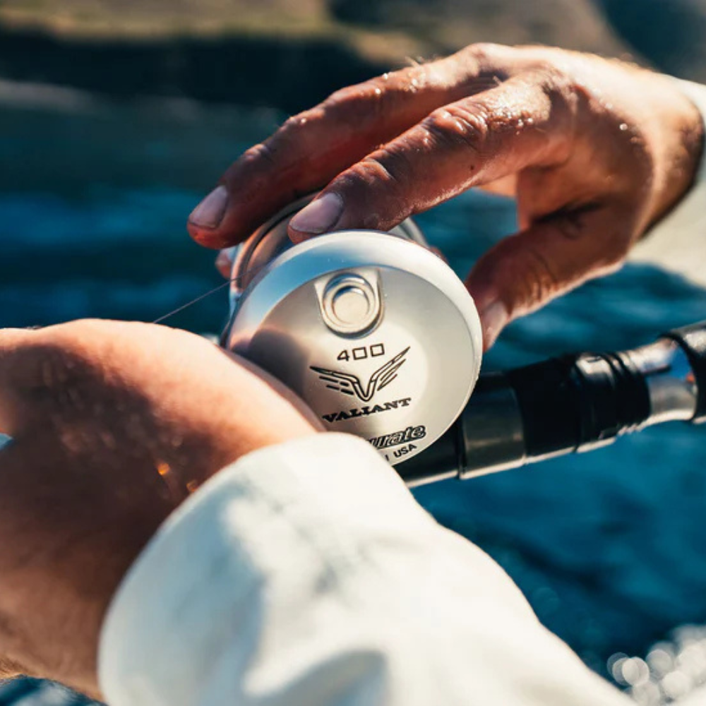ACCURATE TwinDrag Valiant 2 2SPD Reel - Silver 6:1-3:1