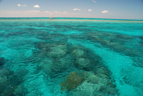 Florida Keys Patch Reefs