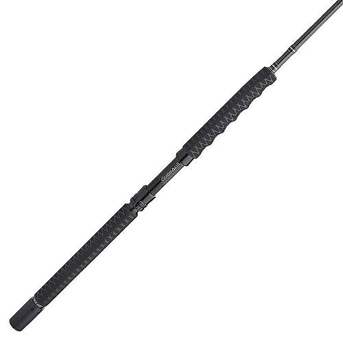 Penn Carnage III Boat Conventional Rod