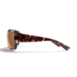 Zeal Nucla Sunglass Gloss Tokyo Tortoise | Copper