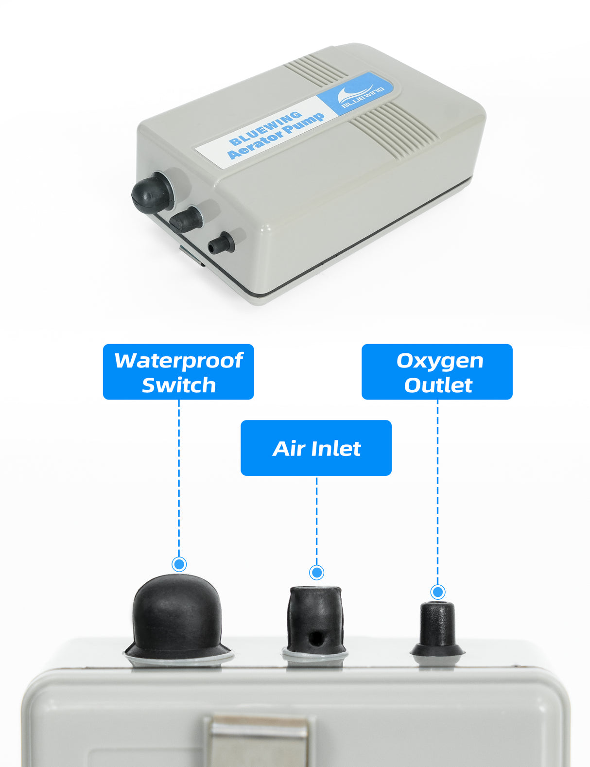 BLUEWING Aerator Live Bait Pump