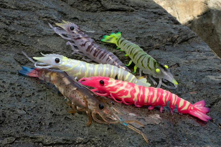 LIVE OPS Rigged Sumo Shrimp 5" - Natural Tiger