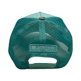 BLACKTIPH Snapback Hat with New Patch in Teal