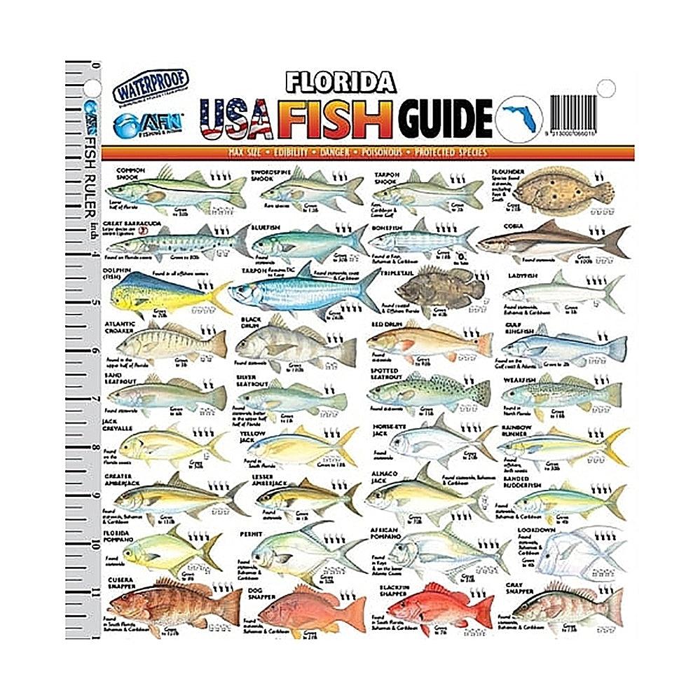 AFN Fish Guide Ruler Florida USA