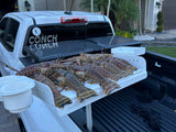 SeaWard Bait Station: Rod Holder Boat Cutting Board