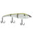 Berkley Magic Swimmer Saltwater Floating