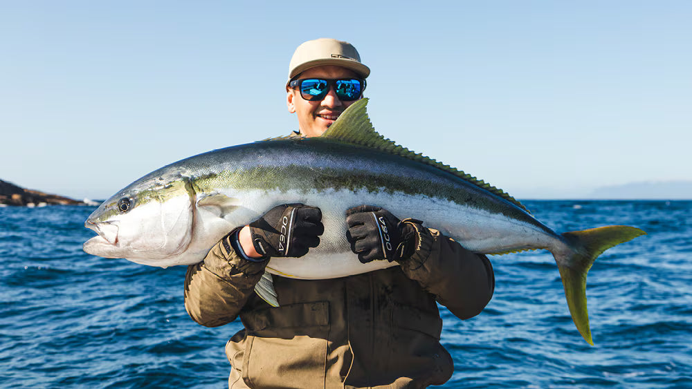 Talica 8 on Kingfish — First Impressions