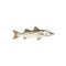 Bonefish