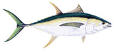 Fish Image