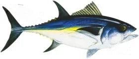 Fish Image