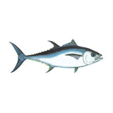 Fish Image