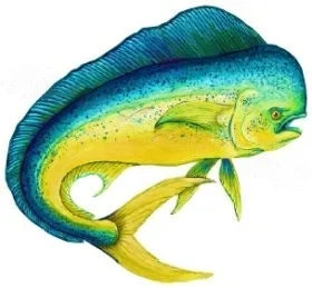 Fish Image