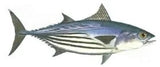 Fish Image