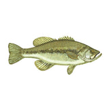 Fish Image