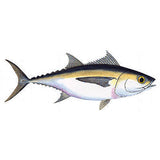 Fish Image