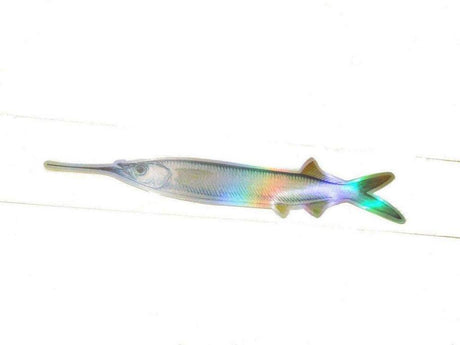 Fish Razr StripZ 6-pk 7 Fish 3.5FT 6PK