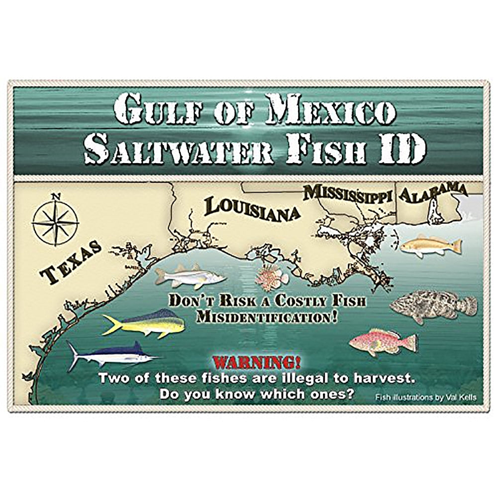 Gulf of Mexico Saltwater Fish ID
