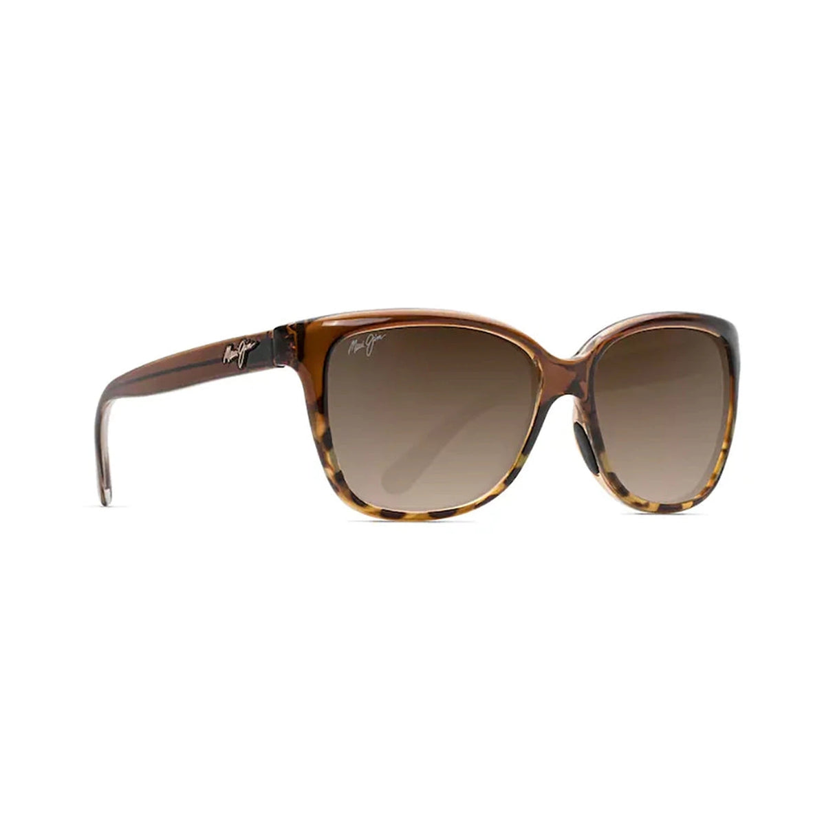 MAUI JIM Starfish Sunglasses Translucent Chocolate with Tortoise |  HCL Bronze