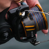 DAIWA BG LT Spinning Reel