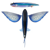 Nomad Slipstream 280 Flying Fish CALIFORNIA 11"