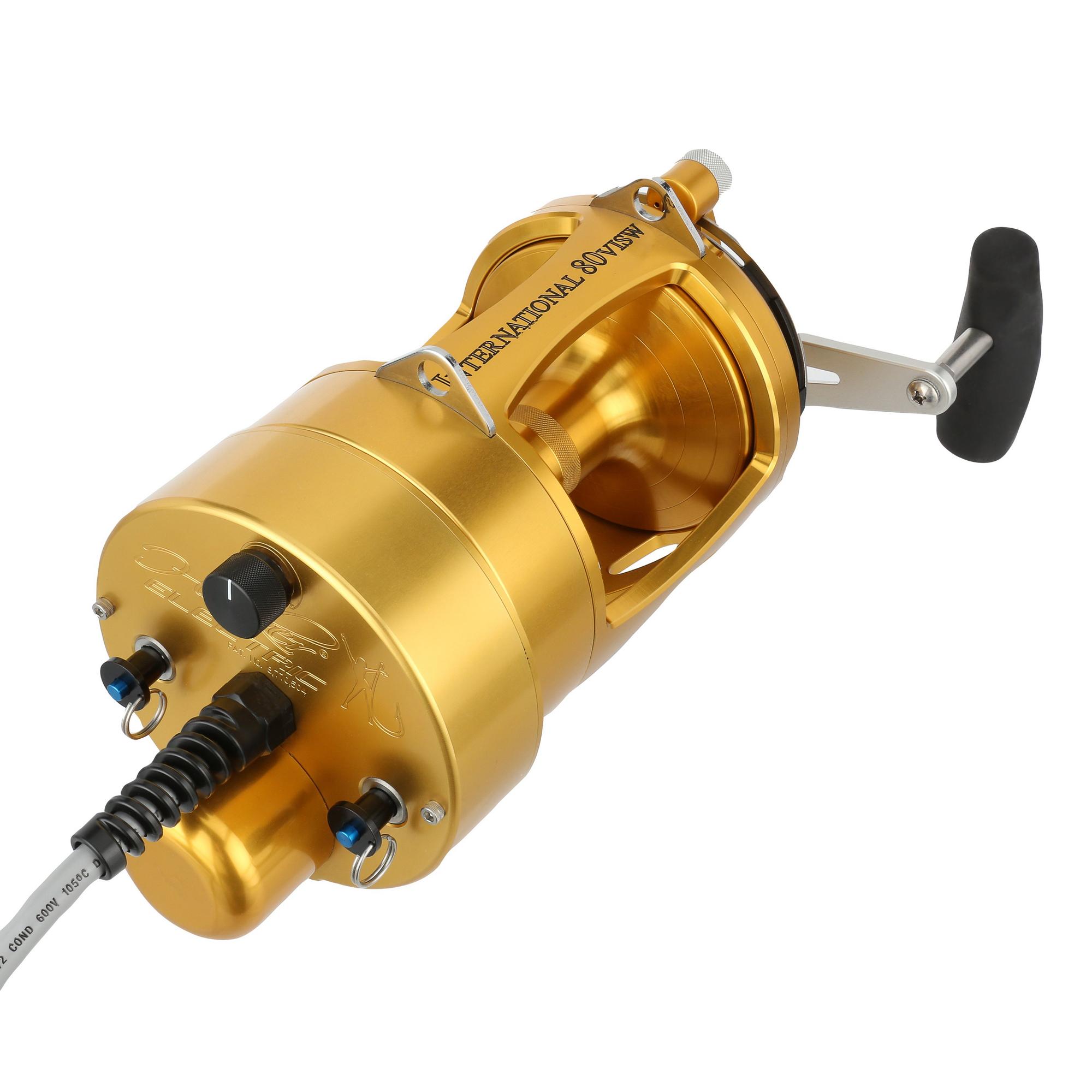 PENN International VI Hooker Electric 80 VISW Autostop Gold with FREE CHAOS  SW Series Rod and FREE Spooling from PENN/CHAOS - CHAOS Fishing