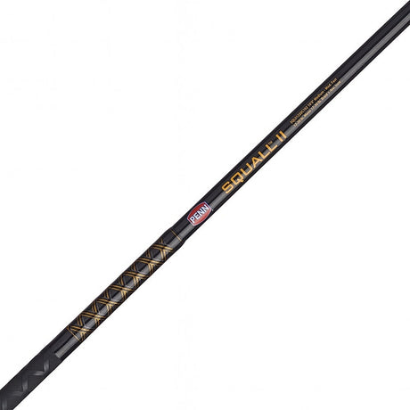 PENN Squall II Star Drag Combo - 25 6FT2IN