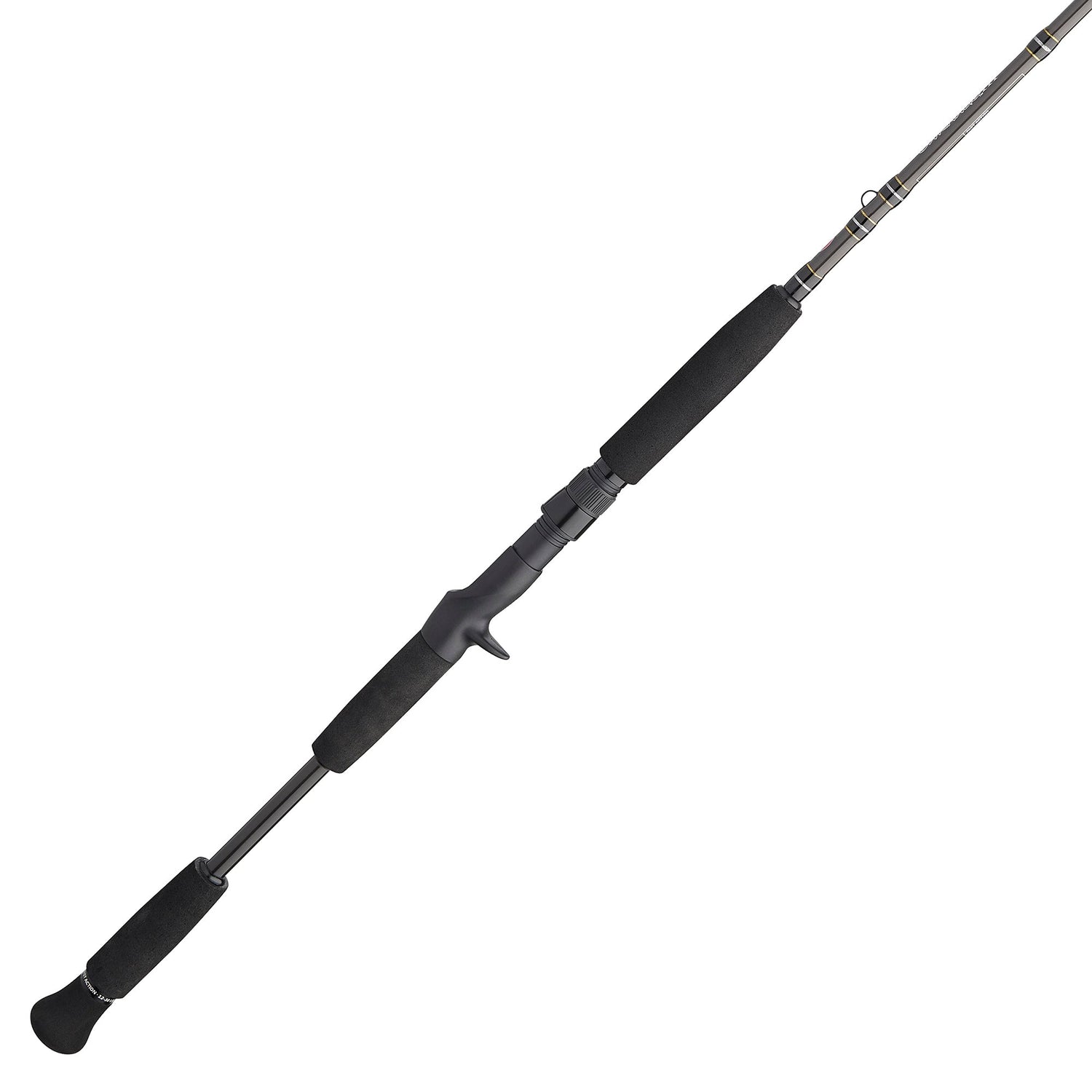 PENN Carnage III Inshore Casting 7FT Medium Heavy