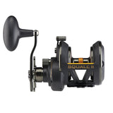 PENN Squall II Star Drag 25N