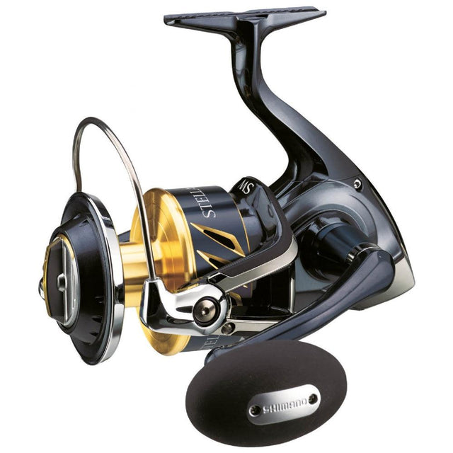 SHIMANO Stella SW C 6000HGC