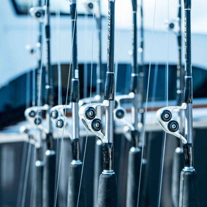 Shimano BW TEREZ FR 7'8" Casting Rod - 70% OFF! 