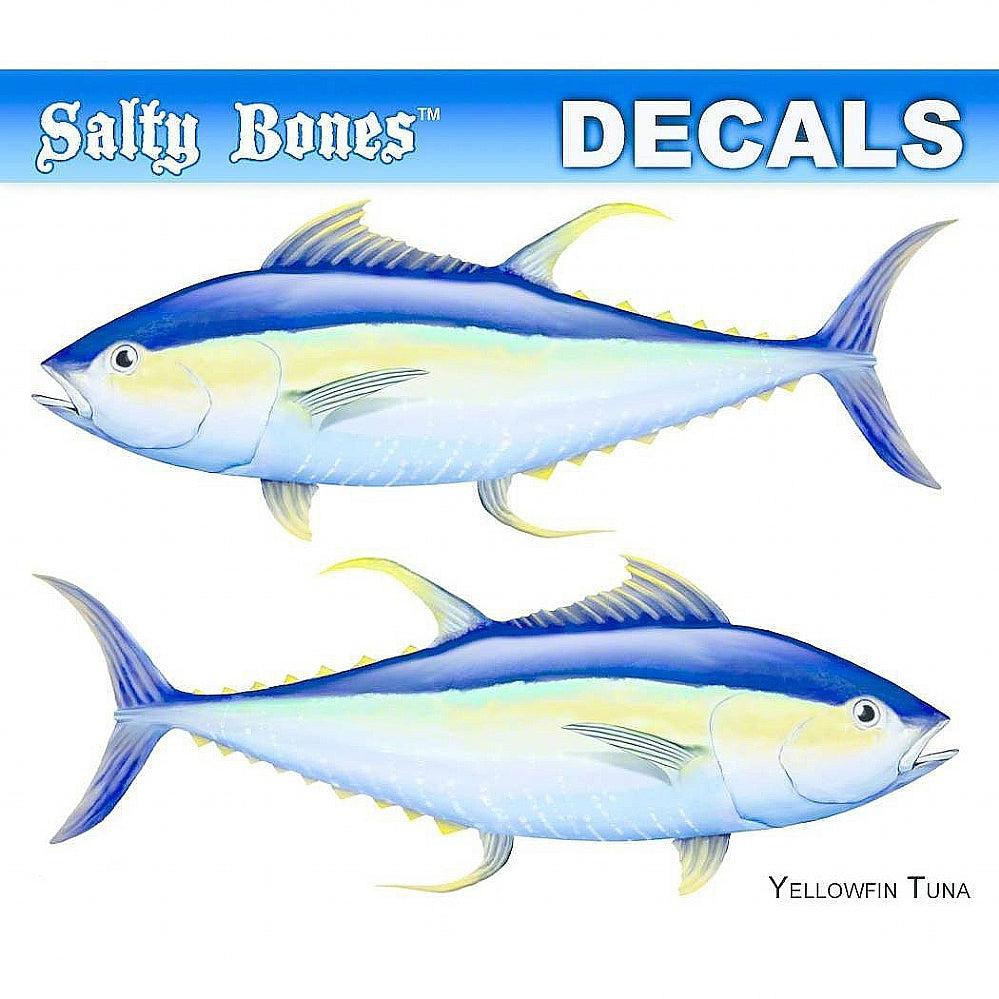 Salty Bones Mini Sailfish