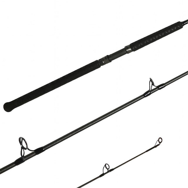 Shimano Teramar West Coast Cast Jigstic HB 9FT Rod