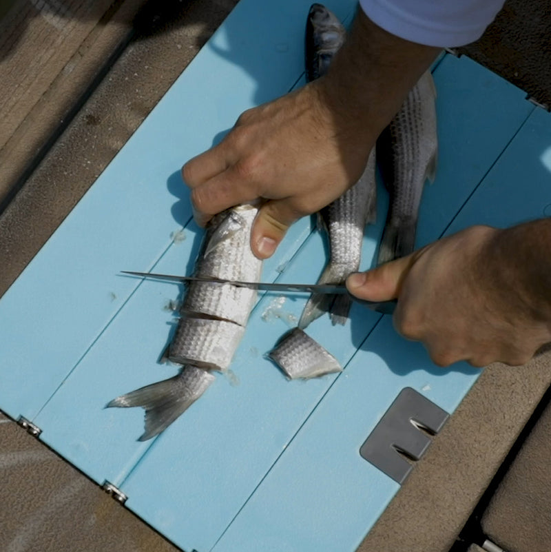 Toadfish Stowaway Folding Cutting Board with Built-in Knife Sharpner - Teal