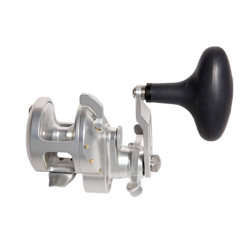Accurate Tern2 TXD Reel