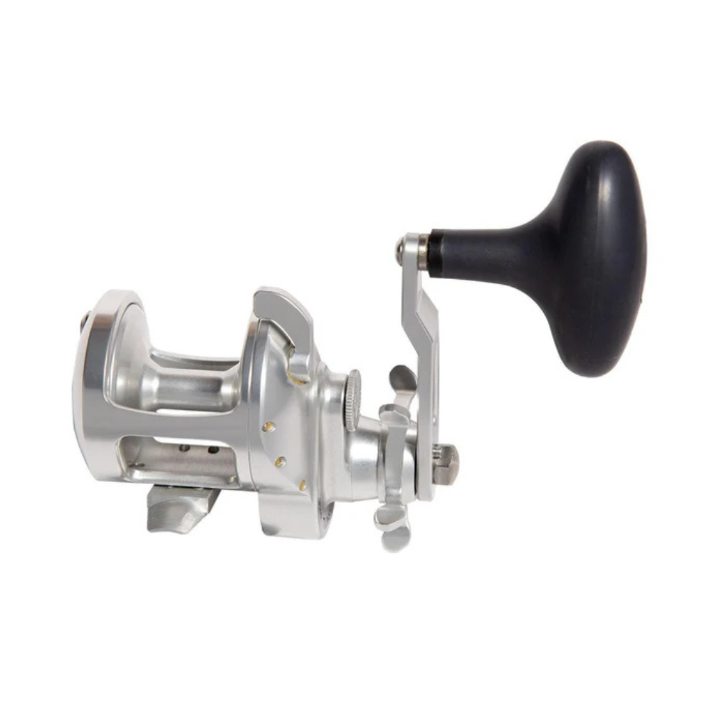 Accurate Tern2 TXD Reel