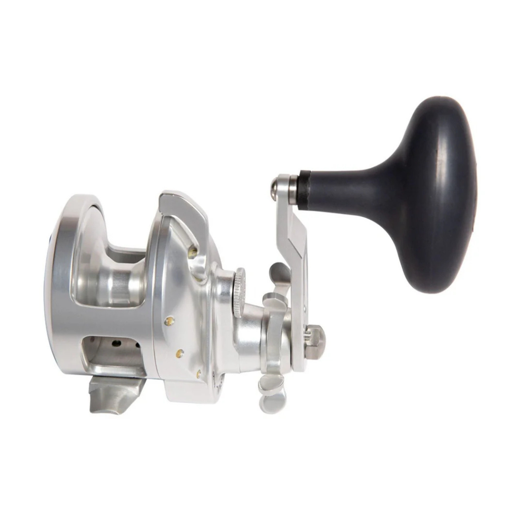 Accurate Tern2 TXD Reel