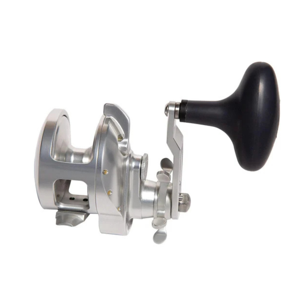 Accurate Tern2 TXD Reel