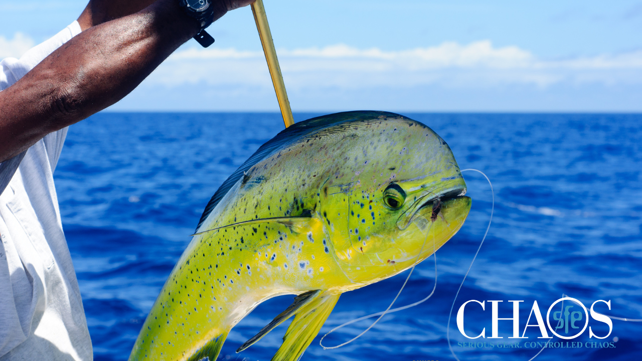 RODS + REELS + TACKLE