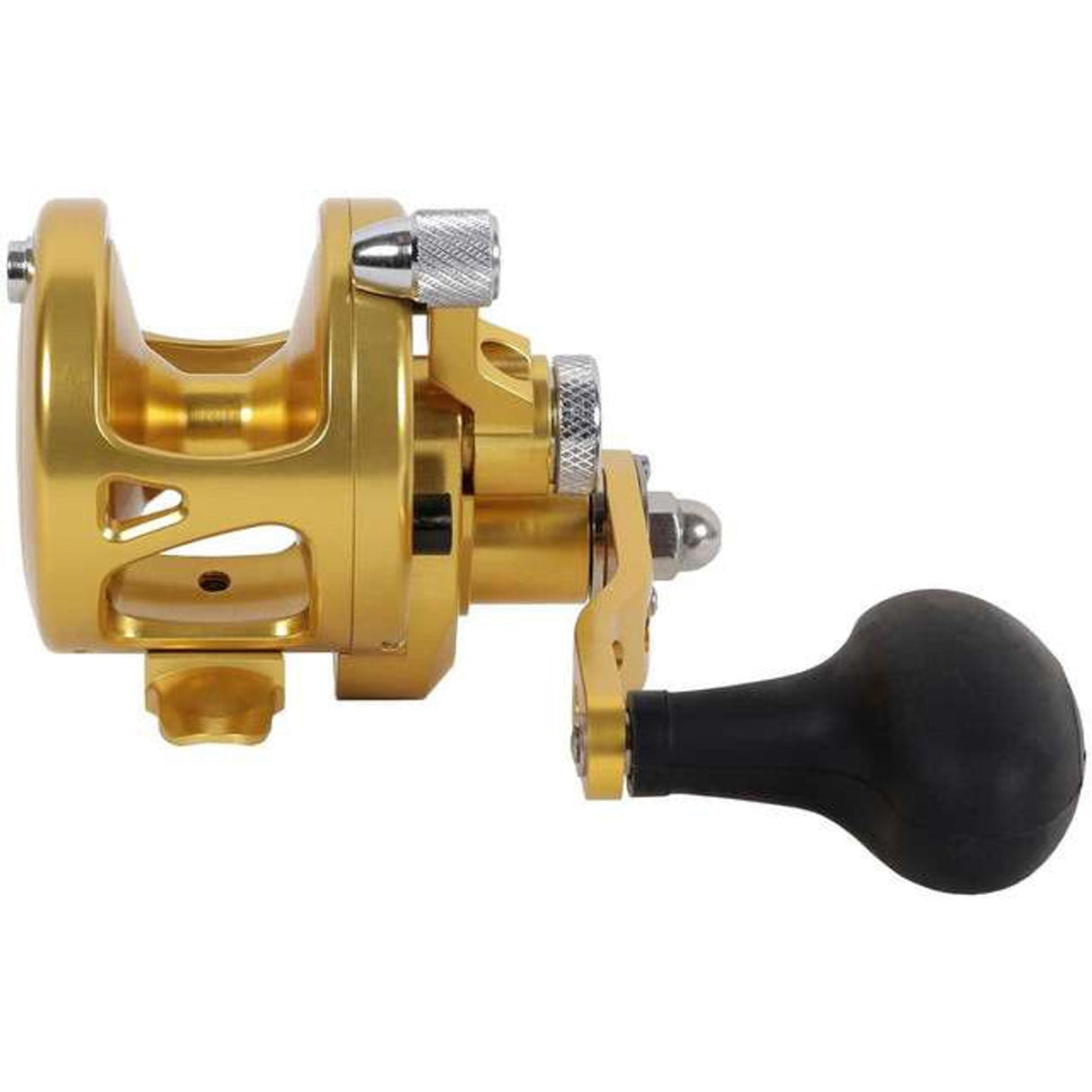 Avet SX 5.3 G2 NGP MC 1 Speed Right Hand - Gold