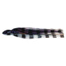 Black Bart S3 9.5" Lure Replacement Skirts