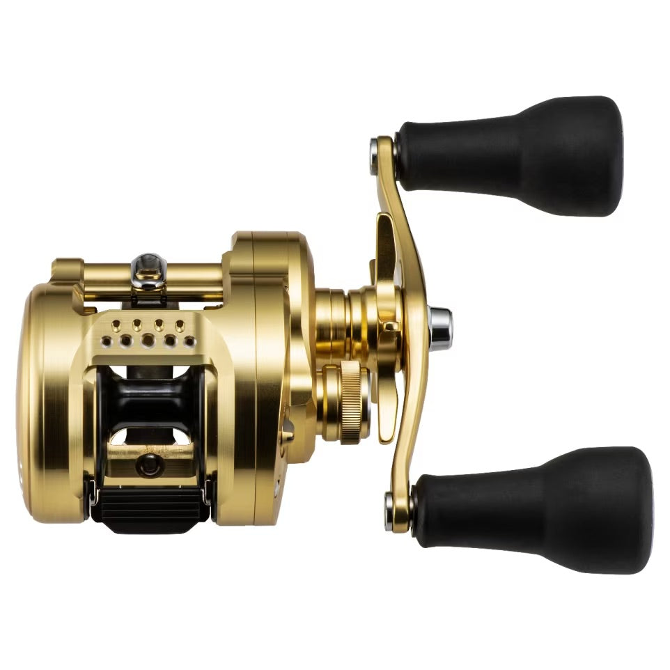 SHIMANO Calcutta Conquest MD401XGB - Left Hand – CHAOS Fishing